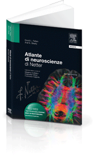 Libro: Atlante di Neuroscienze di Netter